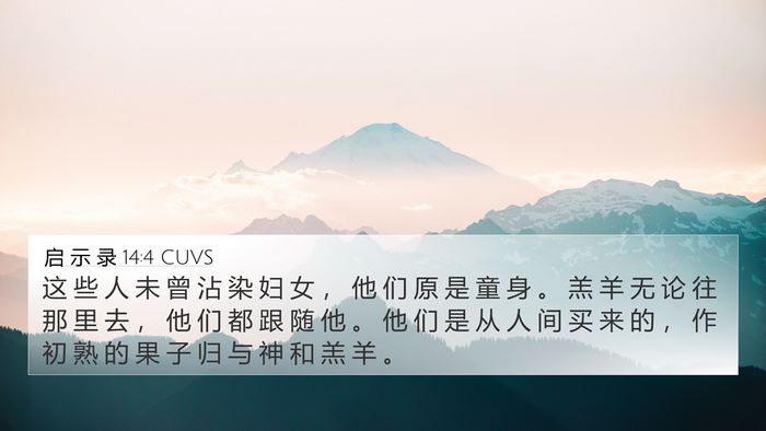 启 示 录 14:4 CUVS Bible Verse Image
