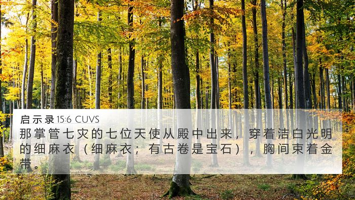 启 示 录 15:6 CUVS Bible Verse Image