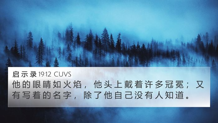 启 示 录 19:12 CUVS Bible Verse Image