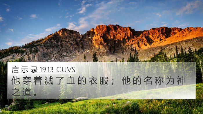 启 示 录 19:13 CUVS Bible Verse Image