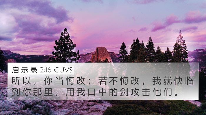 启 示 录 2:16 CUVS Bible Verse Image