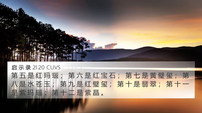 启 示 录 21:20 CUVS Bible Verse Image