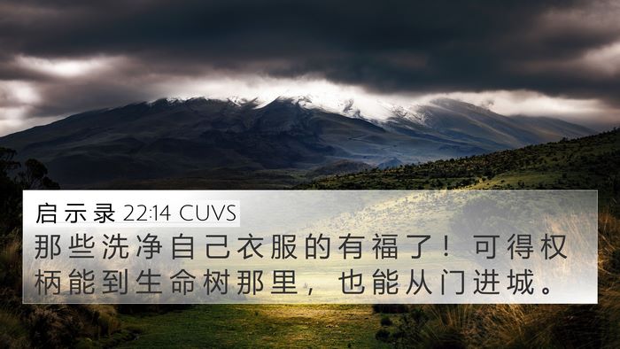 启 示 录 22:14 CUVS Bible Verse Image