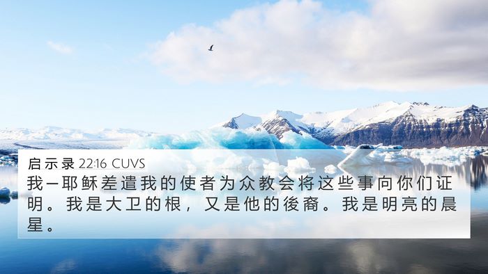 启 示 录 22:16 CUVS Bible Verse Image