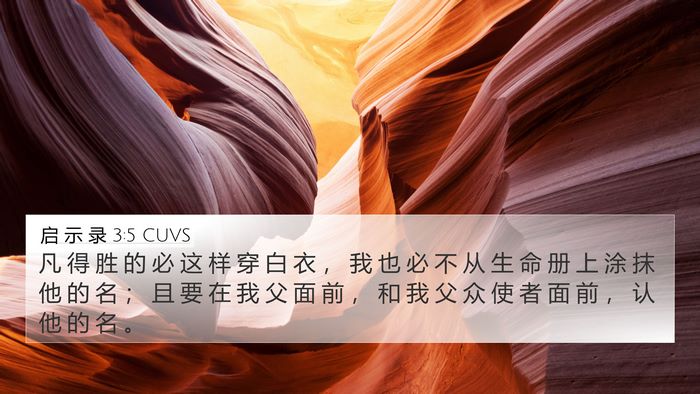 启 示 录 3:5 CUVS Bible Verse Image