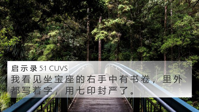 启 示 录 5:1 CUVS Bible Verse Image