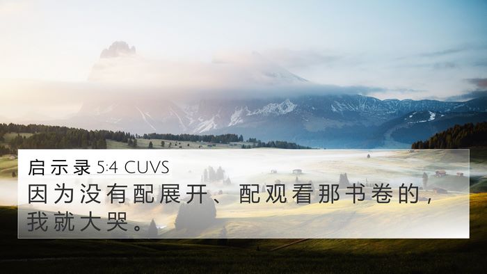 启 示 录 5:4 CUVS 4K Wallpaper - 因 为 没 有 配 展 开 、 配 观 看 那 - 4K Wallpaper Bible Verse