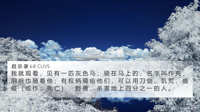 启 示 录 6:8 CUVS Bible Verse Image