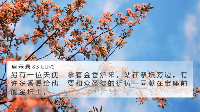 启 示 录 8:3 CUVS Bible Verse Image