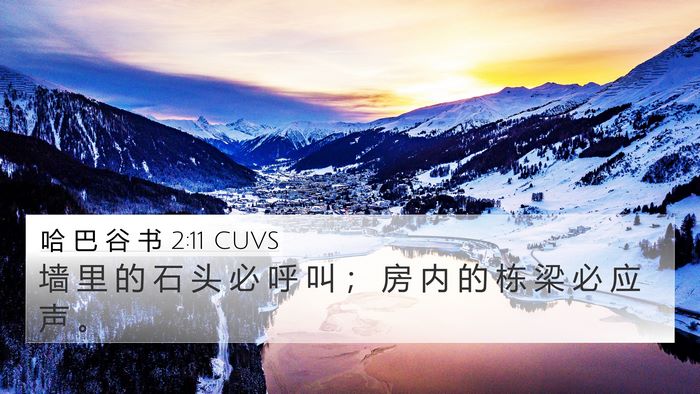 哈 巴 谷 书 2:11 CUVS Bible Verse Image