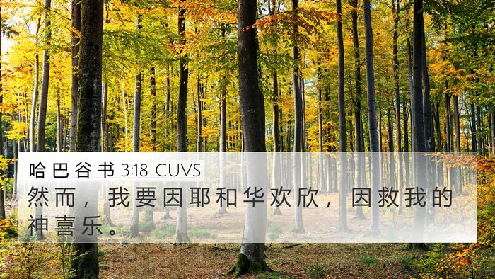 哈 巴 谷 书 3:18 CUVS Bible Verse Image