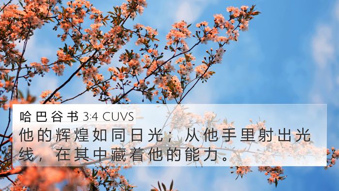 哈 巴 谷 书 3:4 CUVS Bible Verse Image