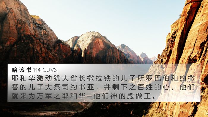 哈 该 书 1:14 CUVS Bible Verse Image
