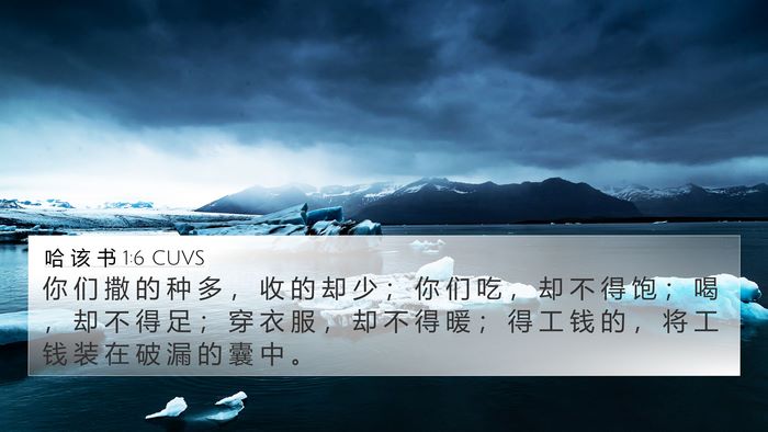 哈 该 书 1:6 CUVS Bible Verse Image