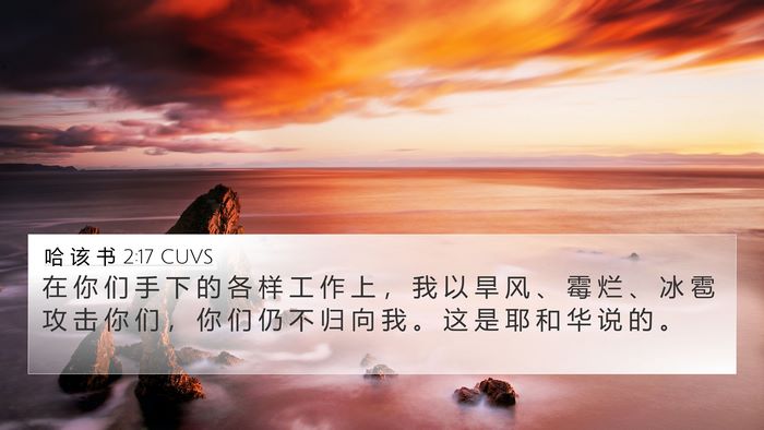 哈 该 书 2:17 CUVS Bible Verse Image