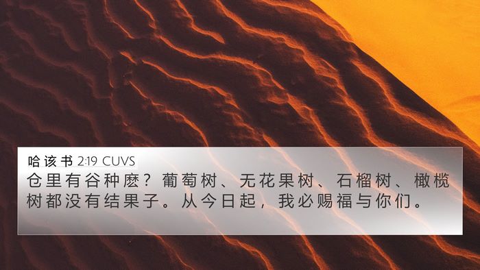 哈 该 书 2:19 CUVS Bible Verse Image