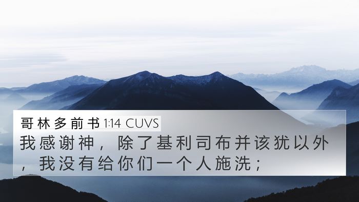 哥 林 多 前 书 1:14 CUVS Bible Verse Image