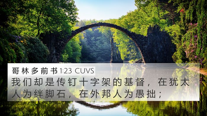 哥 林 多 前 书 1:23 CUVS Bible Verse Image
