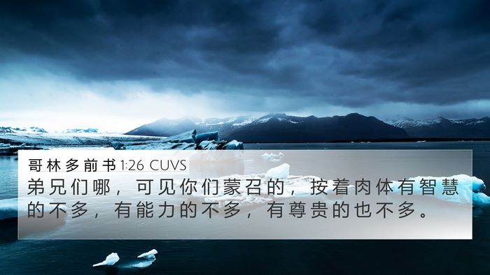 哥 林 多 前 书 1:26 CUVS Bible Verse Image