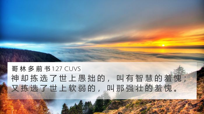 哥 林 多 前 书 1:27 CUVS Bible Verse Image