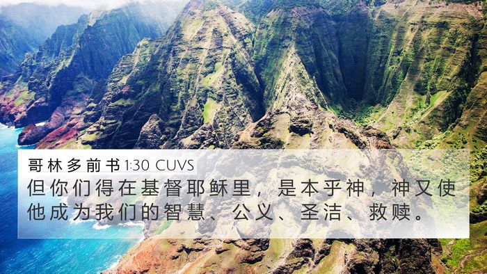 哥 林 多 前 书 1:30 CUVS Bible Verse Image