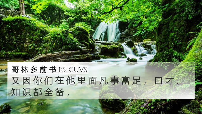哥 林 多 前 书 1:5 CUVS Bible Verse Image