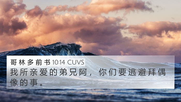哥 林 多 前 书 10:14 CUVS Bible Verse Image