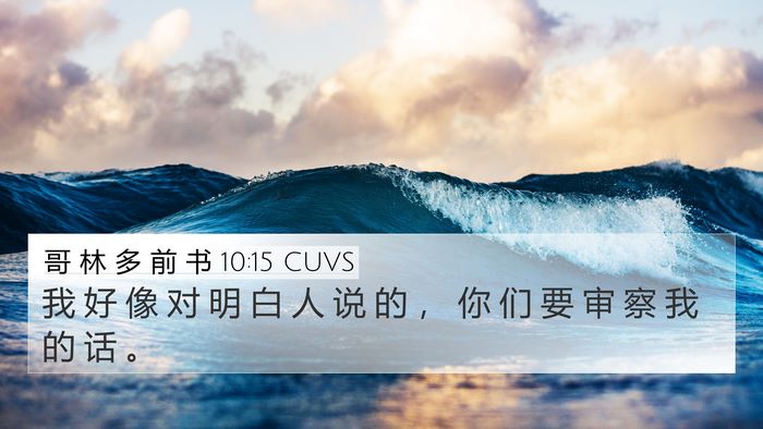 哥 林 多 前 书 10:15 CUVS Bible Verse Image