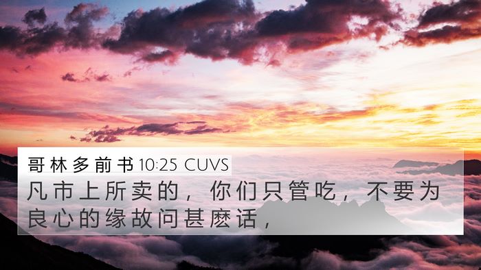 哥 林 多 前 书 10:25 CUVS Bible Verse Image