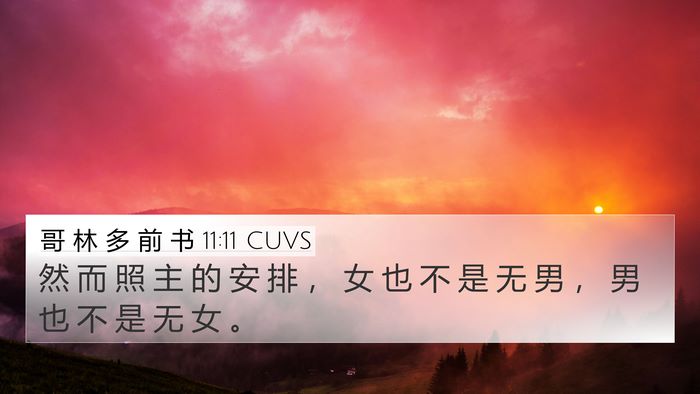 哥 林 多 前 书 11:11 CUVS Bible Verse Image