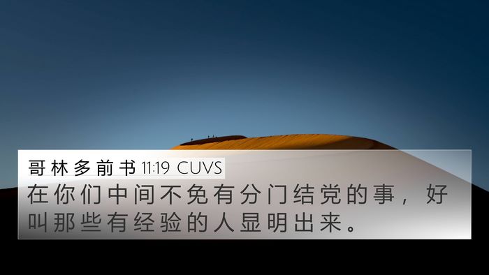 哥 林 多 前 书 11:19 CUVS Bible Verse Image