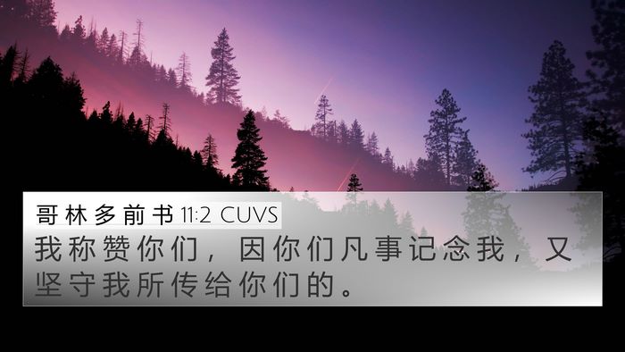 哥 林 多 前 书 11:2 CUVS Bible Verse Image