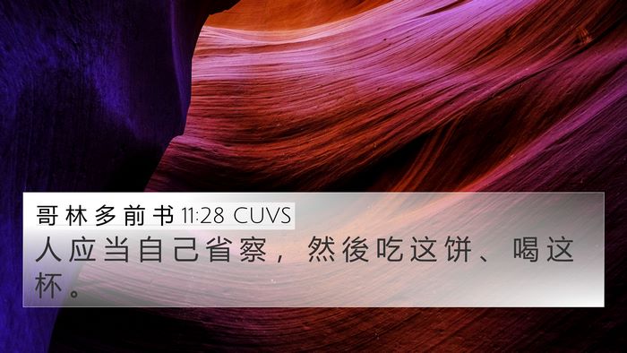 哥 林 多 前 书 11:28 CUVS Bible Verse Image