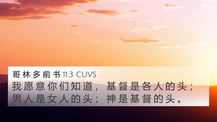 哥 林 多 前 书 11:3 CUVS Bible Verse Image