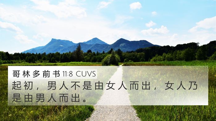 哥 林 多 前 书 11:8 CUVS Bible Verse Image
