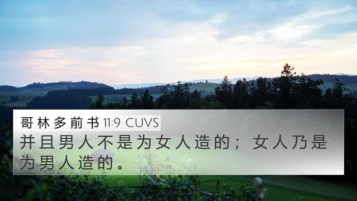 哥 林 多 前 书 11:9 CUVS 4K Wallpaper - 并 且 男 人 不 是 为 女 人 造 的 ； - 4K Wallpaper Bible Verse