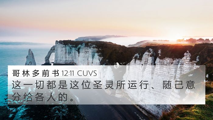 哥 林 多 前 书 12:11 CUVS Bible Verse Image