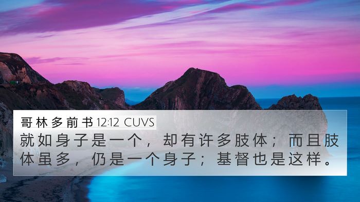 哥 林 多 前 书 12:12 CUVS Bible Verse Image
