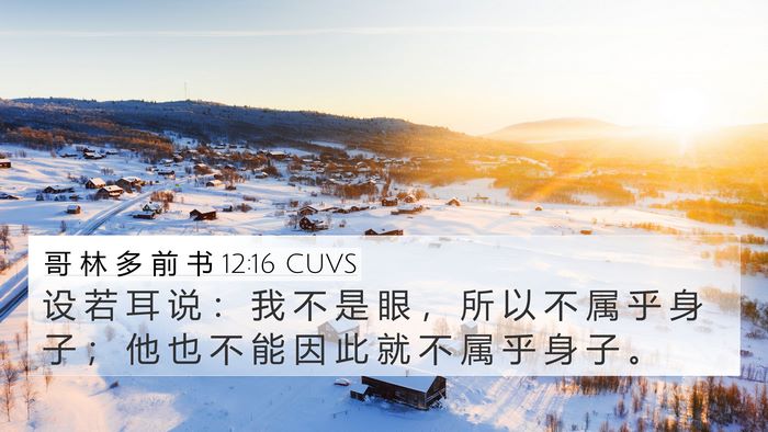 哥 林 多 前 书 12:16 CUVS 4K Wallpaper - 设 若 耳 说 ： 我 不 是 眼 ， 所 以 - 4K Wallpaper Bible Verse
