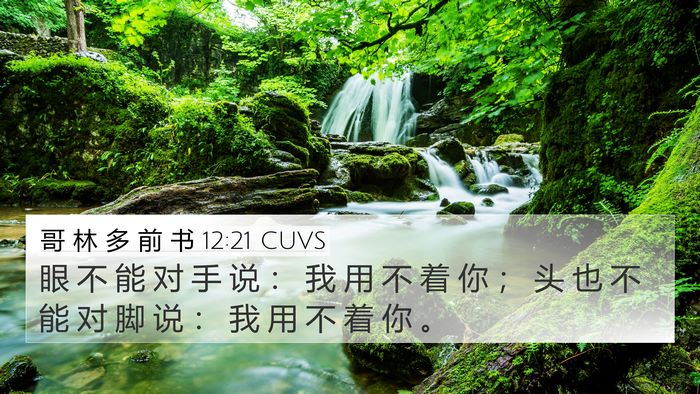 哥 林 多 前 书 12:21 CUVS Bible Verse Image