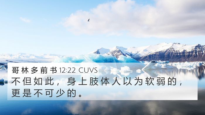哥 林 多 前 书 12:22 CUVS Bible Verse Image