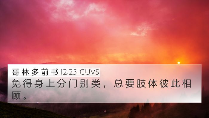 哥 林 多 前 书 12:25 CUVS Bible Verse Image