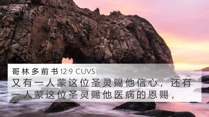 哥 林 多 前 书 12:9 CUVS Bible Verse Image