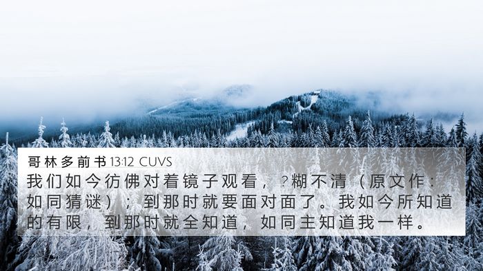 哥 林 多 前 书 13:12 CUVS Bible Verse Image