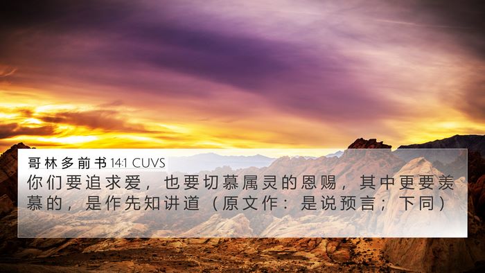 哥 林 多 前 书 14:1 CUVS Bible Verse Image