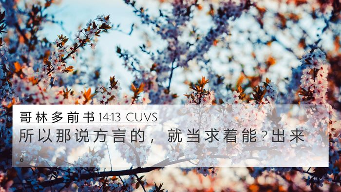 哥 林 多 前 书 14:13 CUVS 4K Wallpaper - 所 以 那 说 方 言 的 ， 就 当 求 着 - 4K Wallpaper Bible Verse