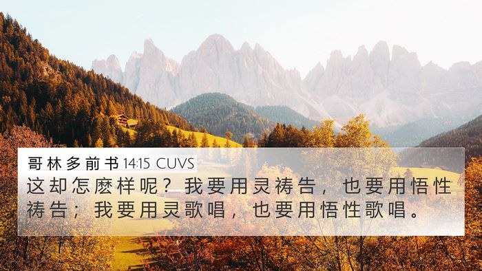 哥 林 多 前 书 14:15 CUVS Bible Verse Image