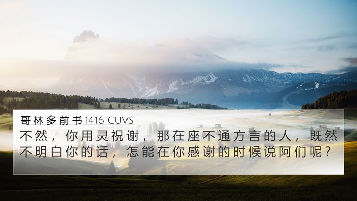 哥 林 多 前 书 14:16 CUVS Bible Verse Image