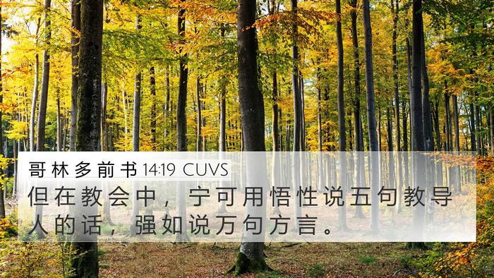 哥 林 多 前 书 14:19 CUVS Bible Verse Image