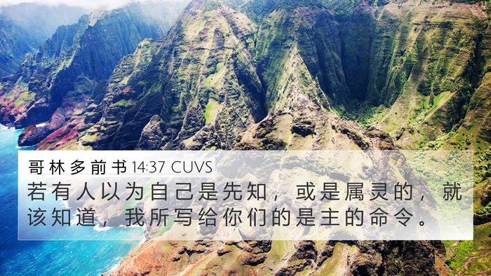 哥 林 多 前 书 14:37 CUVS Bible Verse Image